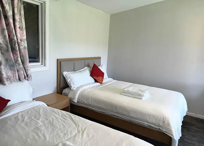 2 Double And 1 Sofa Beds D 公寓